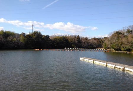 大安トラウトレイク 釣果